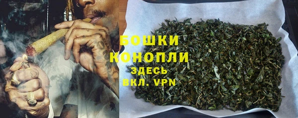 2c-b Инта