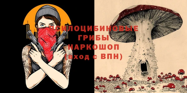 первитин Инсар