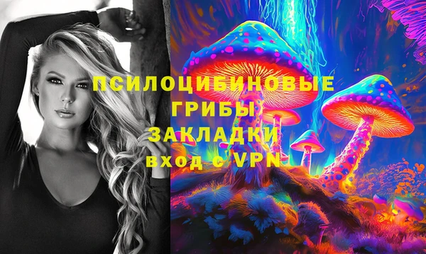первитин Инсар