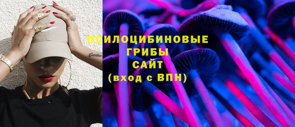 прущая мука Каменка