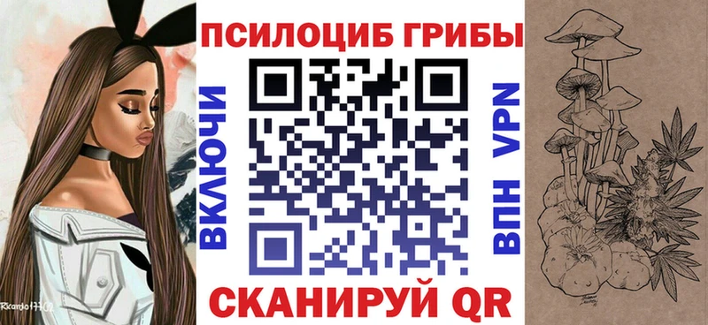 Купить закладки  Искитим  Псилоцибиновые грибы Cubensis 