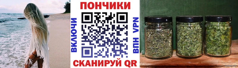 Бошки марихуана семена  Купить закладки  Искитим 